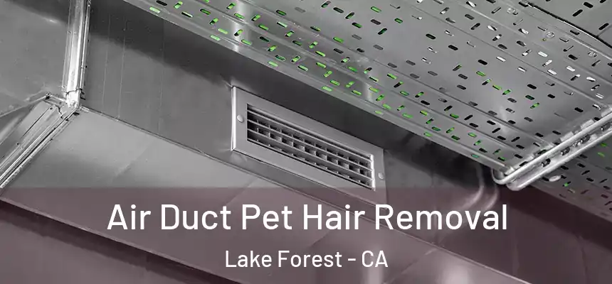 Air Duct Pet Hair Removal Lake Forest - CA