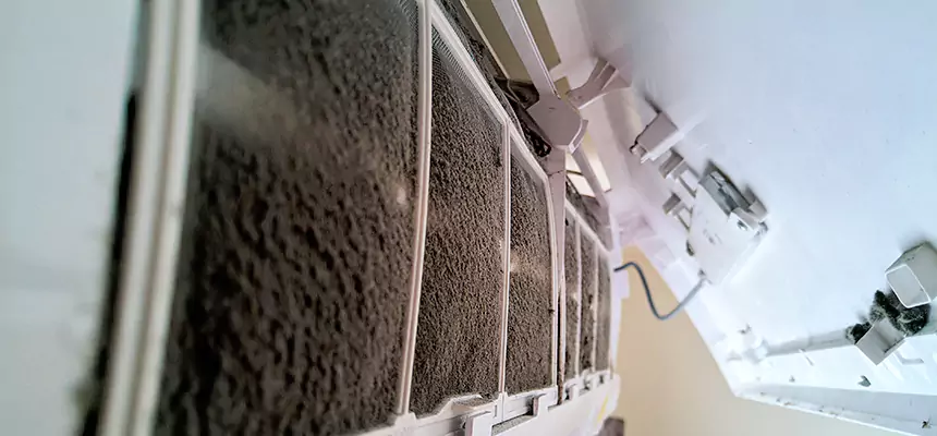 Preventive Air Duct Bacteria Removal in Lake Forest