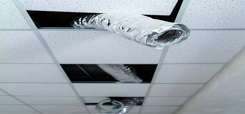 Affordable HVAC Sanitizing After Pest Removal in Lake Forest