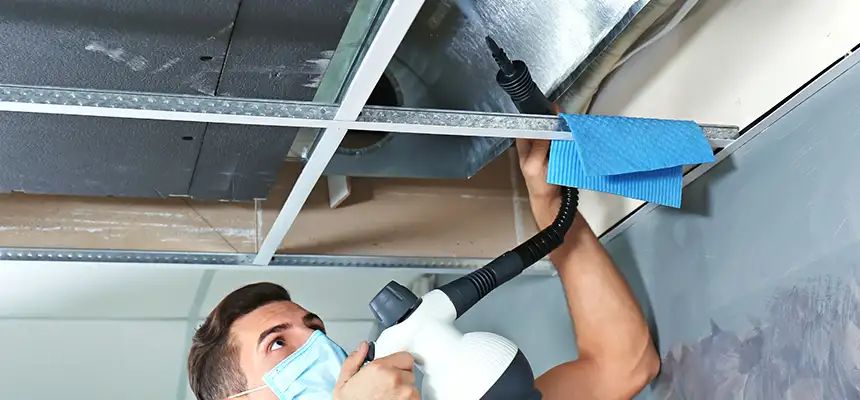 Our Air Duct Rodent Removal Services in Lake Forest, CA