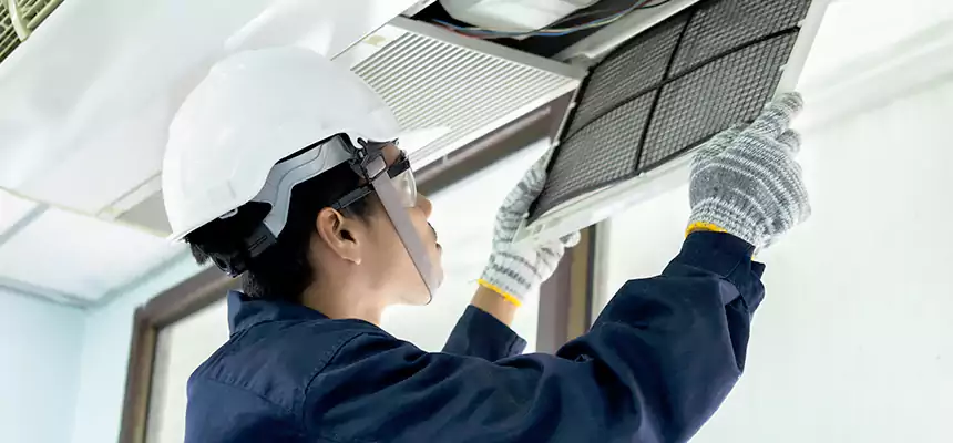 Our Mold & Mildew Removal from Air Ducts Services in Lake Forest, CA