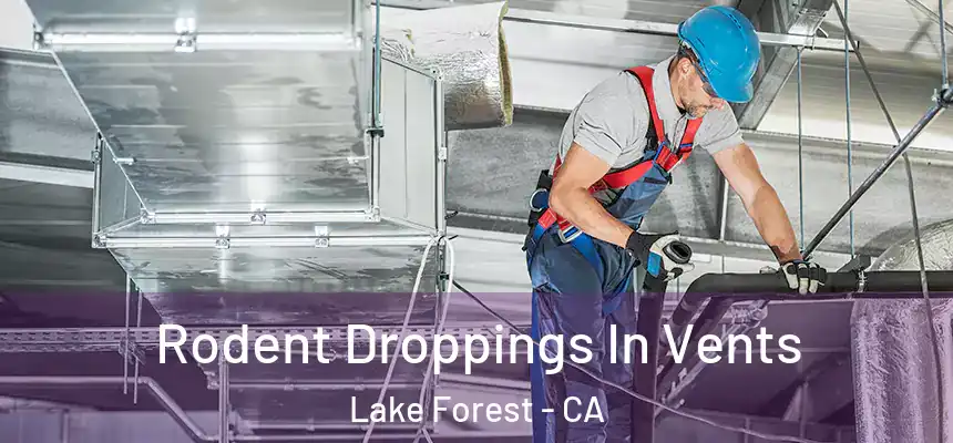 Rodent Droppings In Vents Lake Forest - CA