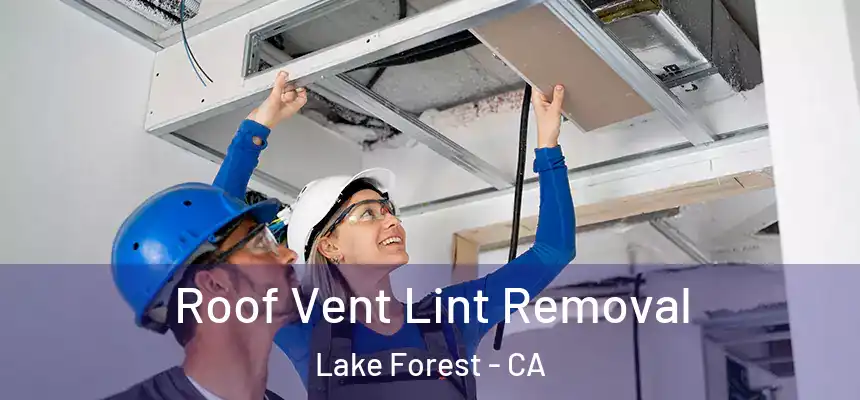 Roof Vent Lint Removal Lake Forest - CA