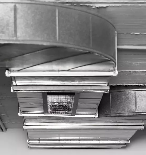 Professional Air Duct Pet Hair Removal in Lake Forest, CA