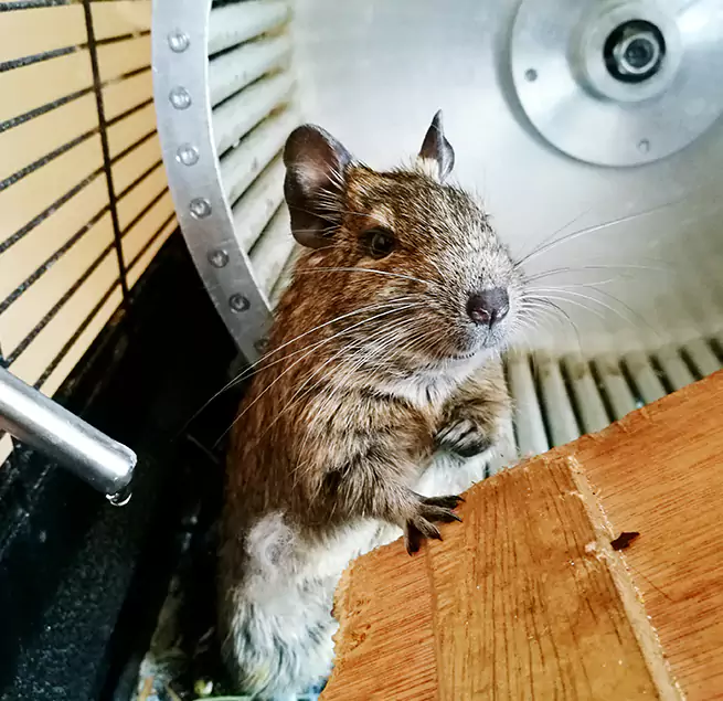 Why Homeowners & Businesses Trust Us Lake Forest, CA