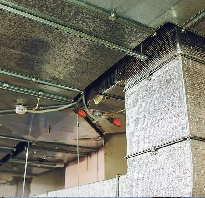 Why Homeowners & Businesses Trust Us Lake Forest, CA?